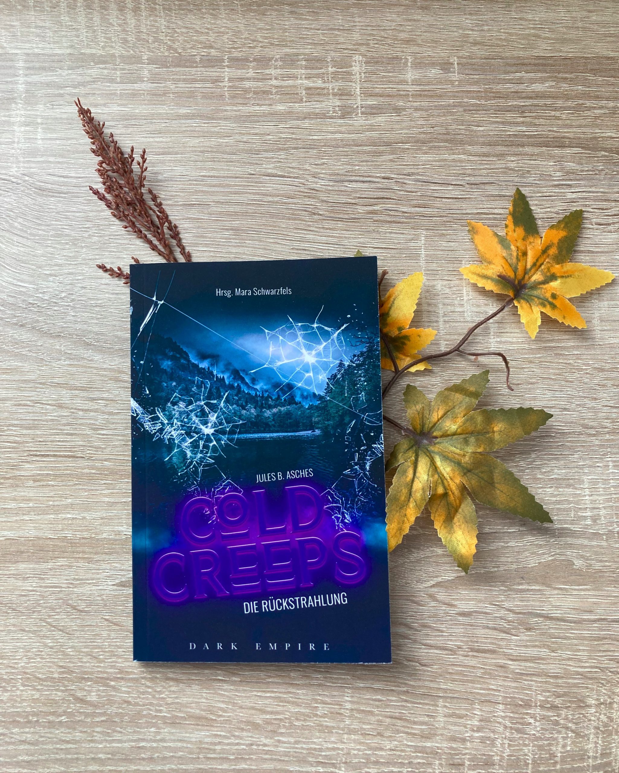 Cold Creeps - Die Rückstrahlung von Jules B. Asches. Der Reihen-Titel "Cold Creeps" steht violett leuchtend unten im Vordergrund. Der Hintergrund ist in dunkelblauen Farbtönen gehalten und zeigt einen See, einen Wald und dahinter nebelverhangene Berge. An mehreren Stellen hat das Cover Sprungstellen wie zerbrochenes Glas. Ganz oben steht in kleiner Schrift "Hrsg. Mara Schwarzfels", ganz unten der Name des Verlags "Dark Empire".
